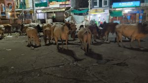 IMG-20260630-WA0754