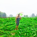 IMG-20260811-WA0000